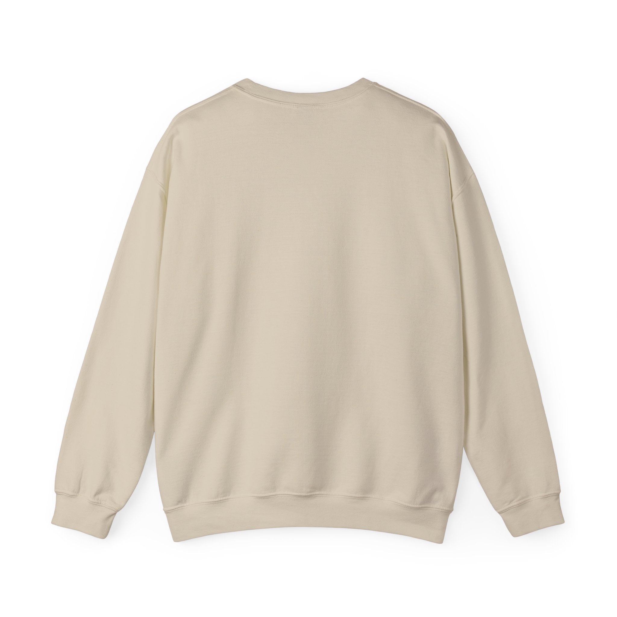 ASH Football Ribbon Bow Sweatshirt